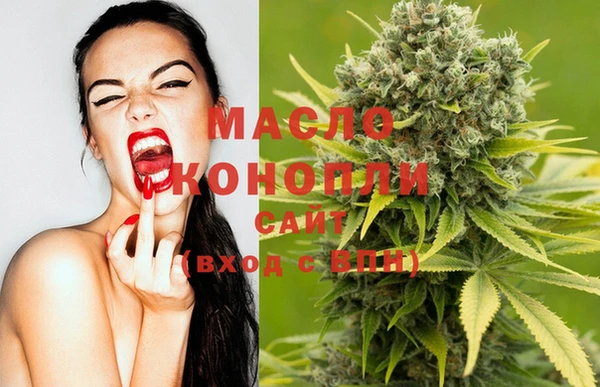 ECSTASY Инта