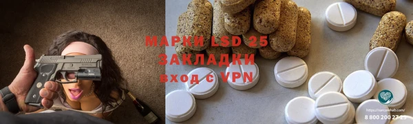 apvp Алексин