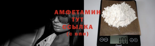 apvp Иннополис