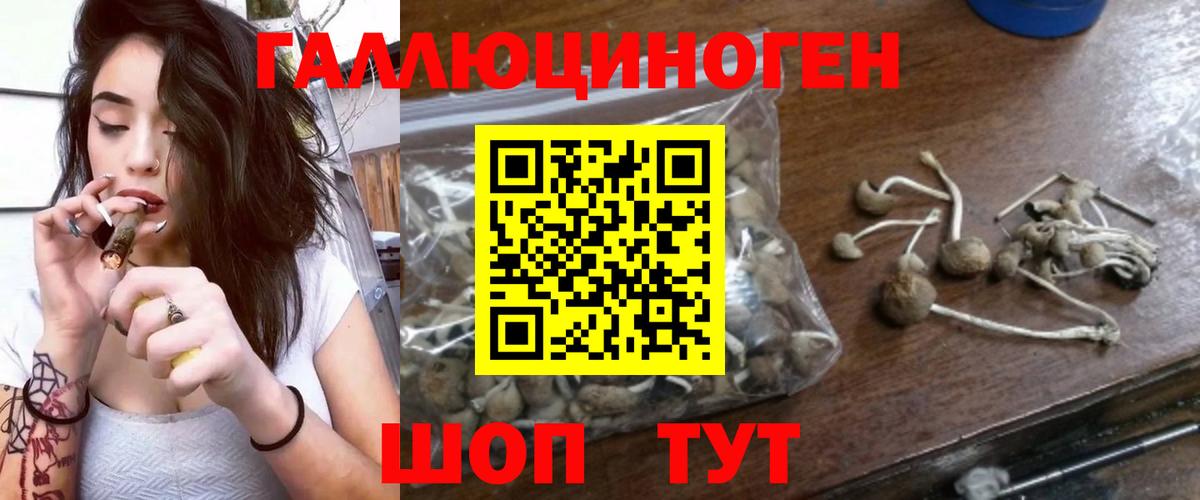 наркотики  Вход с VPN  Боровичи  Псилоцибиновые грибы MAGIC MUSHROOMS 